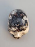 Canadian Staurolite & Garnet Skull Carving Kinbasket, B.C.