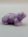 Amethyst Frog