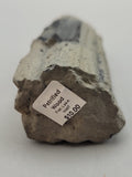 Canadian Petrified Wood Fish Lake, NWT