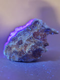 Canadian Fluorite~ Prince George, B.C.