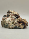 Canadian Andradite Garnet & Epidote in Skarn~ Nelson, B.C.