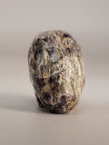 Canadian Staurolite & Garnet Skull Carving Kinbasket, B.C.