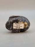 Canadian Staurolite & Garnet Skull Carving Kinbasket, B.C.