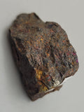 Canadian Chalcopyrite~ Tofino, B.C.