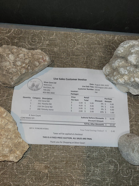 16133 August 24th Edmonton Live Show 2025