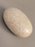 Scolecite Palm Stone