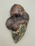 Canadian Almandine Garnet~ River Valley, ON