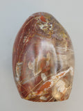 Petrified Wood Free Form