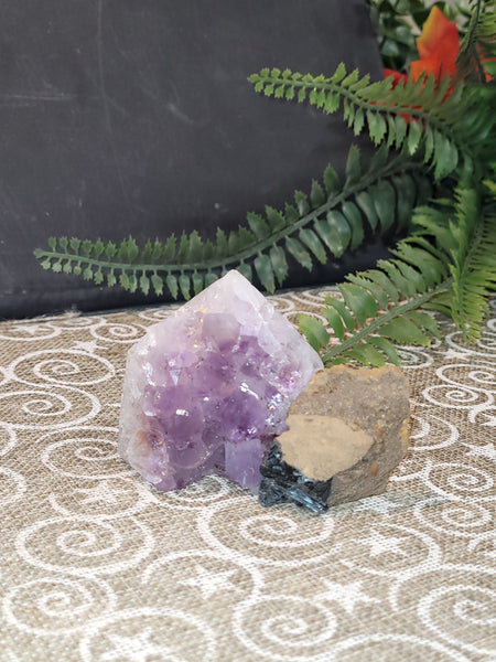 15809 September 12th 2025 Live