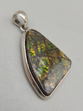 Canadian Ammolite Pendant Set in .925 Sterling Silver