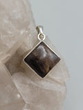 Canadian Petrified Wood Pendant Set in .925 Sterling Silver