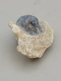 Spinel in Matrix