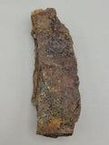 Canadian Chalcopyrite~ Tofino, B.C.
