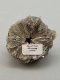 Canadian Gypsum Desert Rose~ Winnipeg, MB