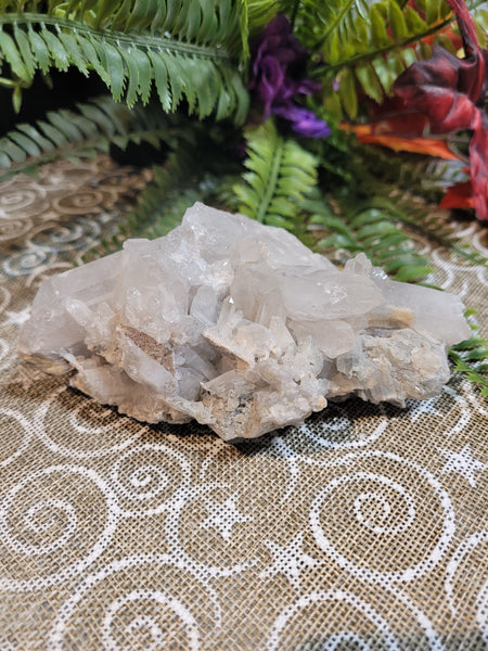 Queenoassiveaggresive November 5 Live