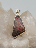 Canadian Ammolite Pendant Set in .925 Sterling Silver