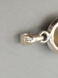 Canadian Petrified Wood Pendant Set in .925 Sterling Silver