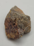 Canadian Chalcopyrite~ Tofino, B.C.