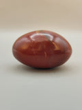 Petrified Wood