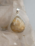 Canadian Petrified Wood Pendant Set in .925 Sterling Silver