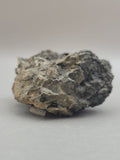 Canadian Pyrite~ Pine Point, N.W.T.