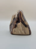 Petrified Wood Saddle Mountain