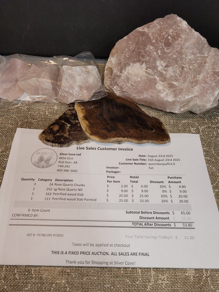 queenbeepuffs3.0 August 23rd Edmonton Live Show 2025