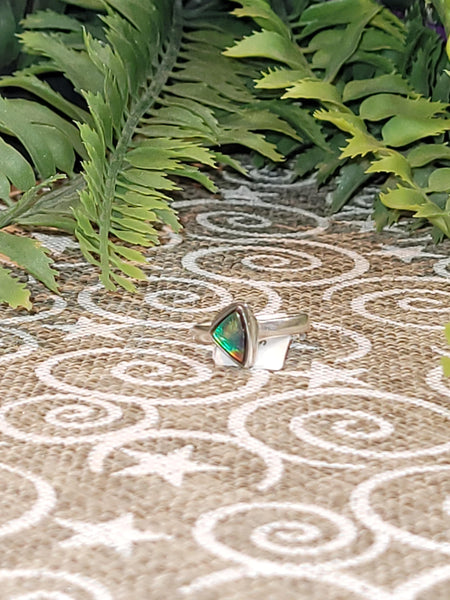 16055 September 13th 2025 Live