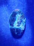 Canadian Hackmanite & Ijolite Cabochon~Ice River Complex, BC
