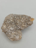 Canadian Gypsum Desert Rose~ Winnipeg, MB