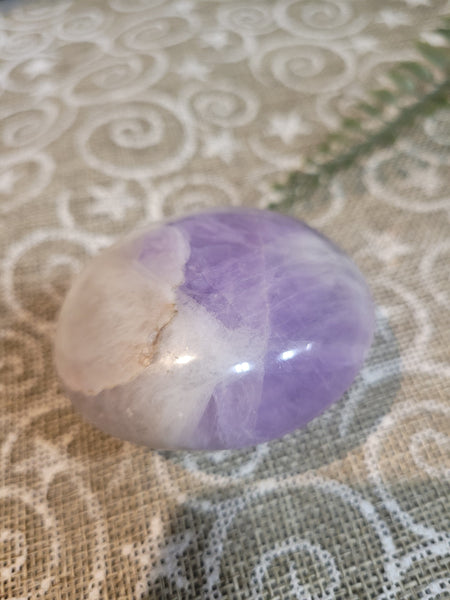 16847 November 7 Live