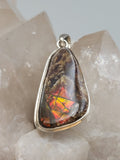 Canadian Ammolite Pendant Set in .925 Sterling Silver