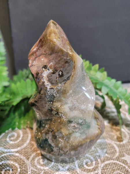 14963  November 4 Live