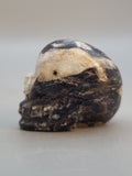 Canadian Staurolite & Garnet Skull Carving Kinbasket, B.C.