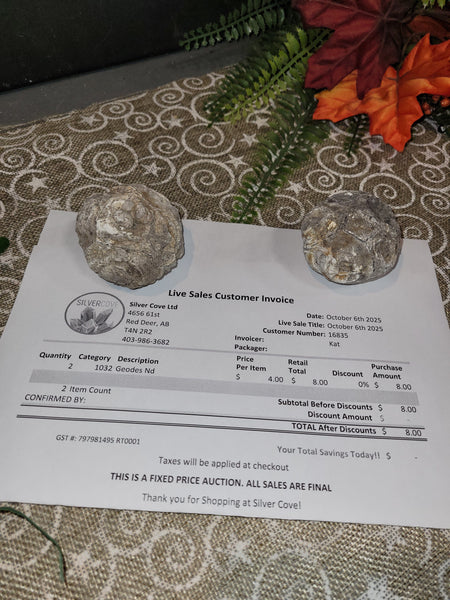 16835 October 6th 2025 Live