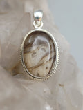 Canadian Petrified Wood Pendant Set in .925 Sterling Silver
