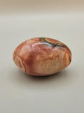 Petrified Wood