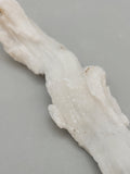 Ram Horn Selenite