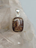 Canadian Petrified Wood Pendant Set in .925 Sterling Silver