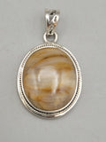 Canadian Petrified Wood Pendant Set in .925 Sterling Silver