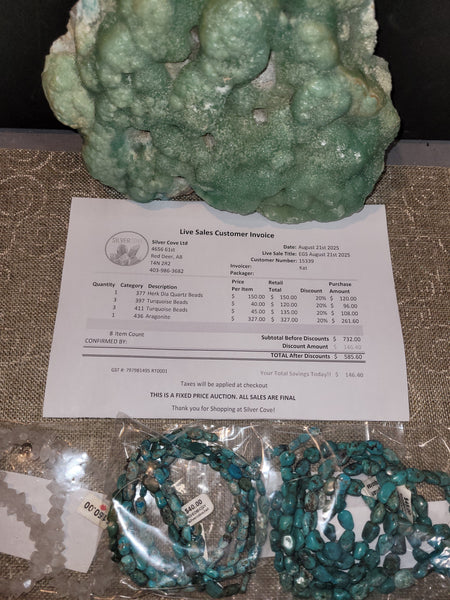 15339 August 21st Edmonton Live Show 2025