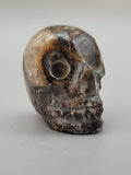 Canadian Staurolite & Garnet Skull Carving Kinbasket, B.C.