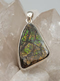 Canadian Ammolite Pendant Set in .925 Sterling Silver