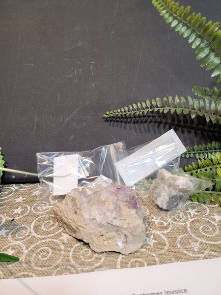 rock dog minerals October 25th 2025 Live