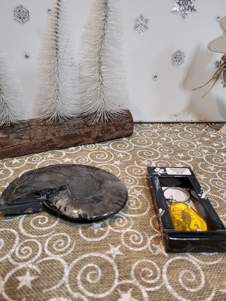 15809 March 27th 2025 Live