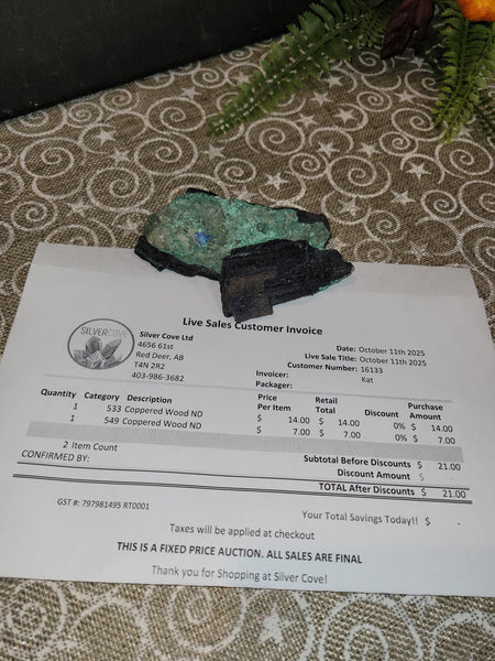 16133 October 11th 2025 Live