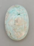 Caribbean Calcite Palm Stone