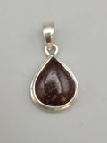 Canadian Petrified Wood Pendant Set in .925 Sterling Silver