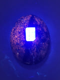 Canadian Hackmanite & Ijolite Palm Stone~Ice River Complex, BC
