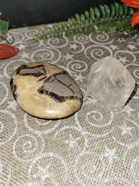 13958 September 21st 2025 Live